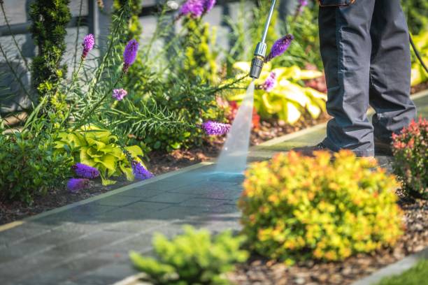Professional Pressure Washing Services in Manchester, MI
